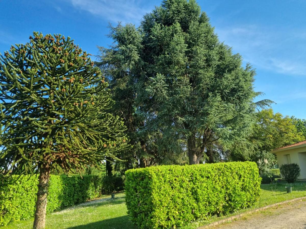 Vila Les 3 Cedres Miramont-de-Guyenne Exteriér fotografie